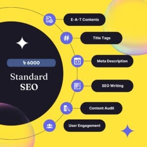 Standard SEO plan​