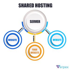 Basic Shared Hosting plan
