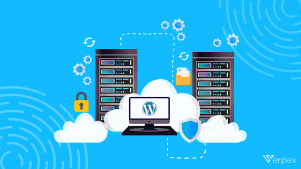 Pro Shared Turbo Hosting plan